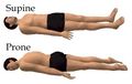 Supine and prone 2012-02-20.jpg