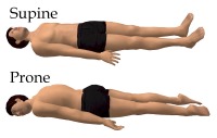 Supine position and prone position